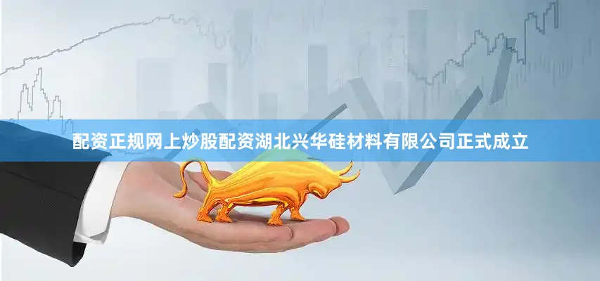 配资正规网上炒股配资湖北兴华硅材料有限公司正式成立