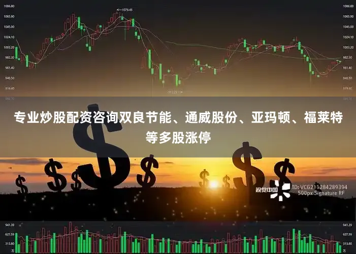 专业炒股配资咨询双良节能、通威股份、亚玛顿、福莱特等多股涨停