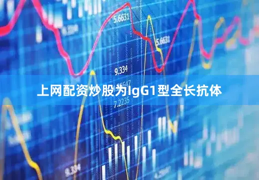 上网配资炒股为IgG1型全长抗体